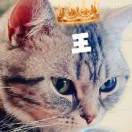 成员
