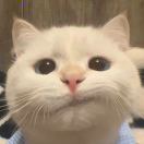 成员
