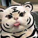 成员